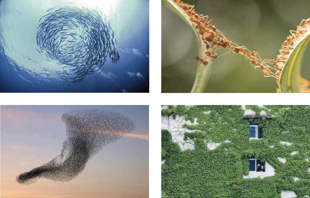 Capture%20d%E2%80%99e%CC%81cran%202025-02-04%20a%CC%80%2014.58.51